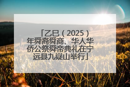 乙巳（2025）年舜裔舜商、华人华侨公祭舜帝典礼在宁远县九嶷山举行