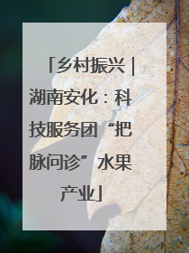 乡村振兴｜湖南安化：科技服务团“把脉问诊”水果产业