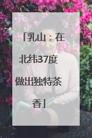 乳山：在北纬37度做出独特茶香