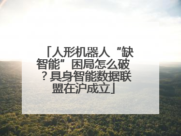 人形机器人“缺智能”困局怎么破？具身智能数据联盟在沪成立