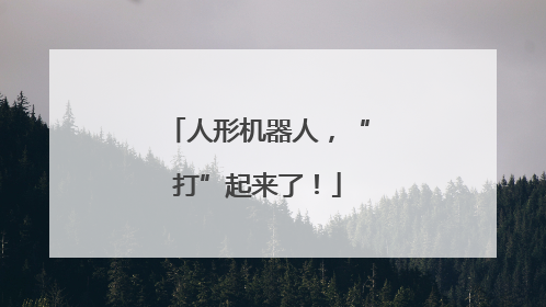 人形机器人，“打”起来了！