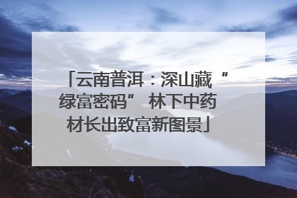 云南普洱：深山藏“绿富密码” 林下中药材长出致富新图景