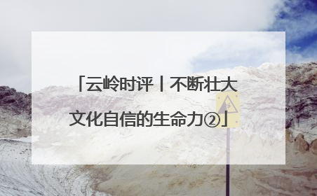 云岭时评丨不断壮大文化自信的生命力②