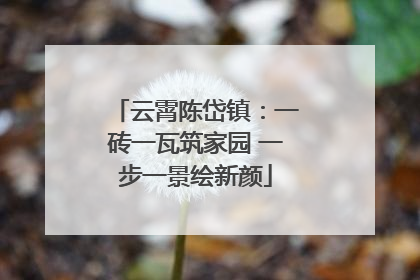 云霄陈岱镇：一砖一瓦筑家园 一步一景绘新颜