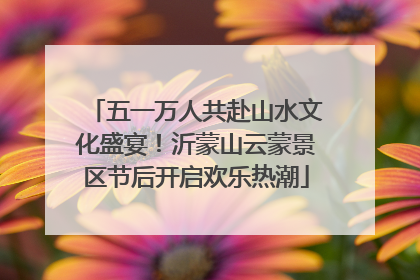 五一万人共赴山水文化盛宴！沂蒙山云蒙景区节后开启欢乐热潮