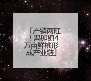产销两旺！冯卯镇4万亩鲜桃形成产业链