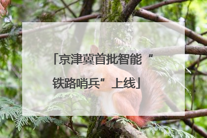 京津冀首批智能“铁路哨兵”上线