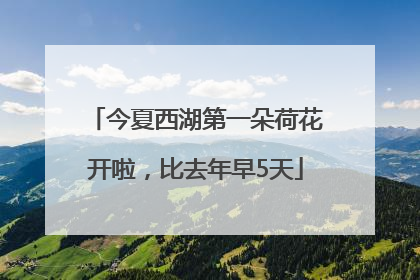 今夏西湖第一朵荷花开啦，比去年早5天
