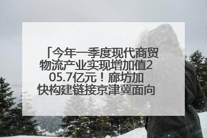 今年一季度现代商贸物流产业实现增加值205.7亿元！廊坊加快构建链接京津冀面向全世界的物流通道
