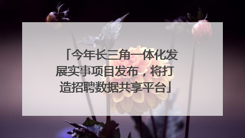 今年长三角一体化发展实事项目发布，将打造招聘数据共享平台
