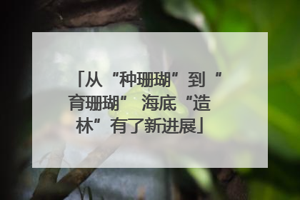 从“种珊瑚”到“育珊瑚” 海底“造林”有了新进展