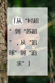 从“村超”到“苏超”，从“追球”到“追求”