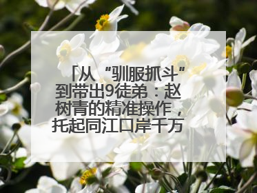 从“驯服抓斗”到带出9徒弟：赵树青的精准操作，托起同江口岸千万吨过货量