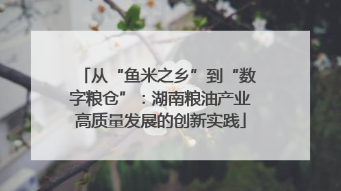 从“鱼米之乡”到“数字粮仓”：湖南粮油产业高质量发展的创新实践
