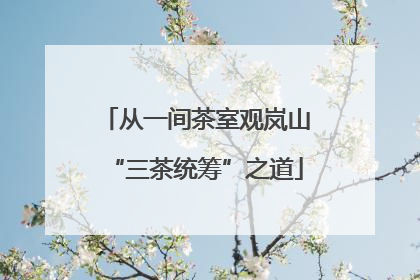 从一间茶室观岚山“三茶统筹”之道