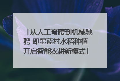 从人工弯腰到机械驰骋 即墨蓝村水稻种植开启智能农耕新模式