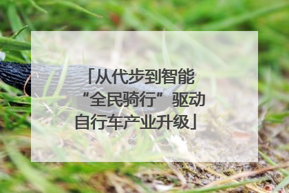 从代步到智能 “全民骑行”驱动自行车产业升级