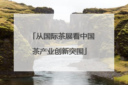 从国际茶展看中国茶产业创新突围