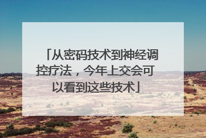 从密码技术到神经调控疗法，今年上交会可以看到这些技术