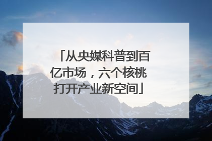 从央媒科普到百亿市场，六个核桃打开产业新空间