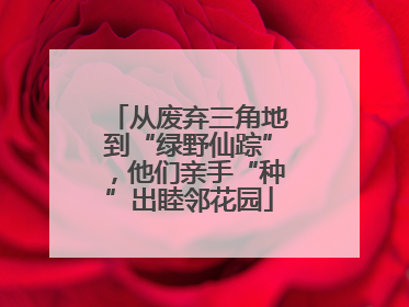 从废弃三角地到“绿野仙踪”，他们亲手“种”出睦邻花园