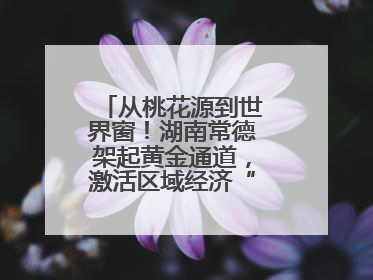 从桃花源到世界窗！湖南常德架起黄金通道，激活区域经济“一池春水”