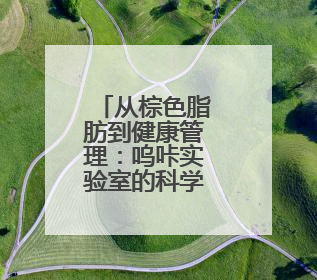 从棕色脂肪到健康管理：呜咔实验室的科学革新之路