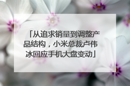 从追求销量到调整产品结构，小米总裁卢伟冰回应手机大盘变动