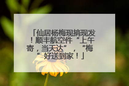 仙居杨梅现摘现发！顺丰航空件“上午寄，当天达”，“梅”好送到家！