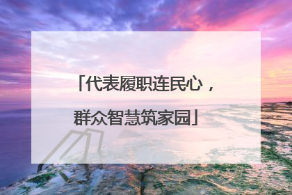 代表履职连民心，群众智慧筑家园