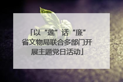 以“莲”话“廉” 省文物局联合多部门开展主题党日活动