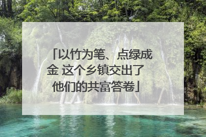 以竹为笔、点绿成金 这个乡镇交出了他们的共富答卷