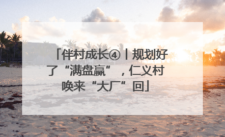 伴村成长④丨规划好了“满盘赢”，仁义村唤来“大厂”回