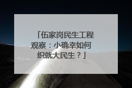 伍家岗民生工程观察：小确幸如何织就大民生？