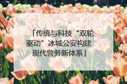 传统与科技“双轮驱动”冰城公安构建现代警务新体系