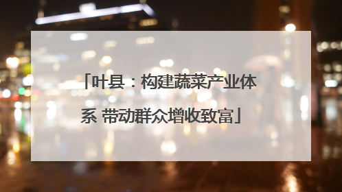 叶县：构建蔬菜产业体系 带动群众增收致富