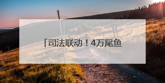司法联动！4万尾鱼苗跃入长江｜“天平杯·随手拍”作品展播