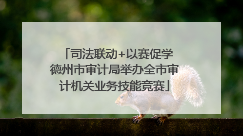 司法联动+以赛促学 德州市审计局举办全市审计机关业务技能竞赛