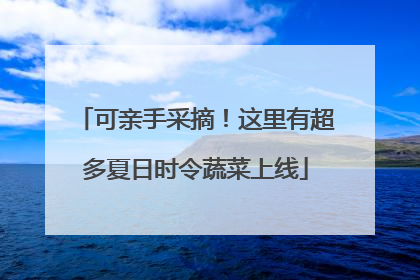 可亲手采摘！这里有超多夏日时令蔬菜上线