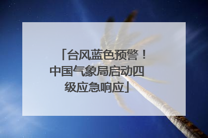 台风蓝色预警！中国气象局启动四级应急响应