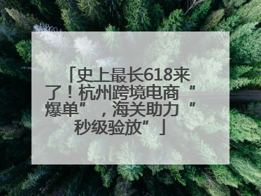 史上最长618来了！杭州跨境电商“爆单”，海关助力“秒级验放”
