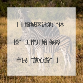十堰城区泳池“体检”工作开始 保障市民“放心游”