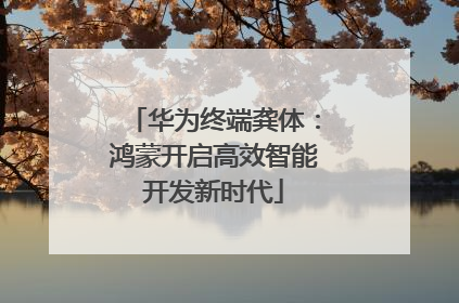 华为终端龚体：鸿蒙开启高效智能开发新时代