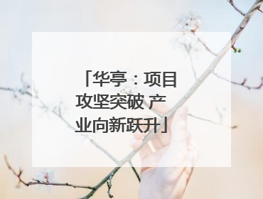 华亭：项目攻坚突破 产业向新跃升