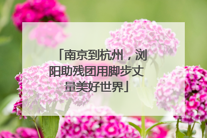 南京到杭州，浏阳助残团用脚步丈量美好世界