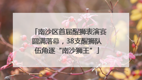 南沙区首届醒狮表演赛圆满落幕，38支醒狮队伍角逐“南沙狮王”