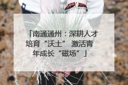 南通通州：深耕人才培育“沃土” 激活青年成长“磁场”