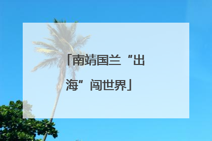 南靖国兰“出海”闯世界