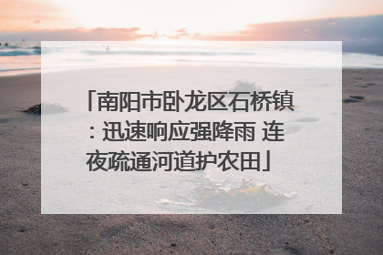 南阳市卧龙区石桥镇：迅速响应强降雨 连夜疏通河道护农田