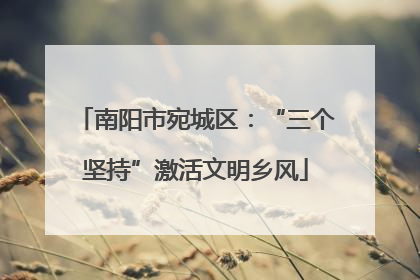 南阳市宛城区：“三个坚持”激活文明乡风